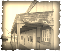 A Sepia-tone photo of the exterior front of the Aquarium, a sign says 