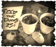 A Sepia-tone photo of two cups of duck food, a handwritten says 