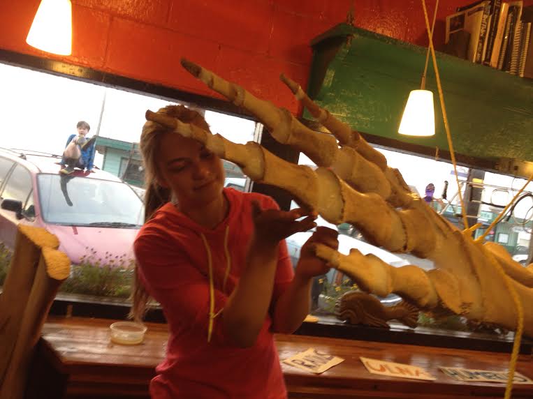 Photo of Aquarium staff member articulating a whale skeleton flipper